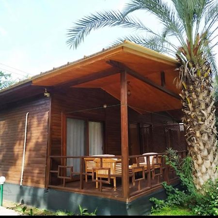 Olympos Yavuz Hotel Чирали Екстер'єр фото