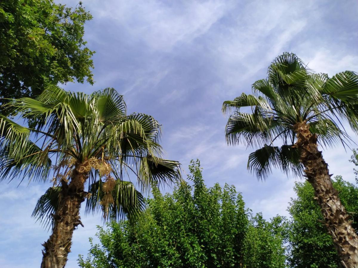 Olympos Yavuz Hotel Чирали Екстер'єр фото
