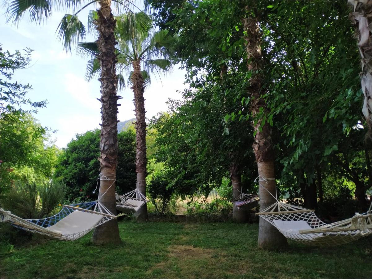Olympos Yavuz Hotel Чирали Екстер'єр фото
