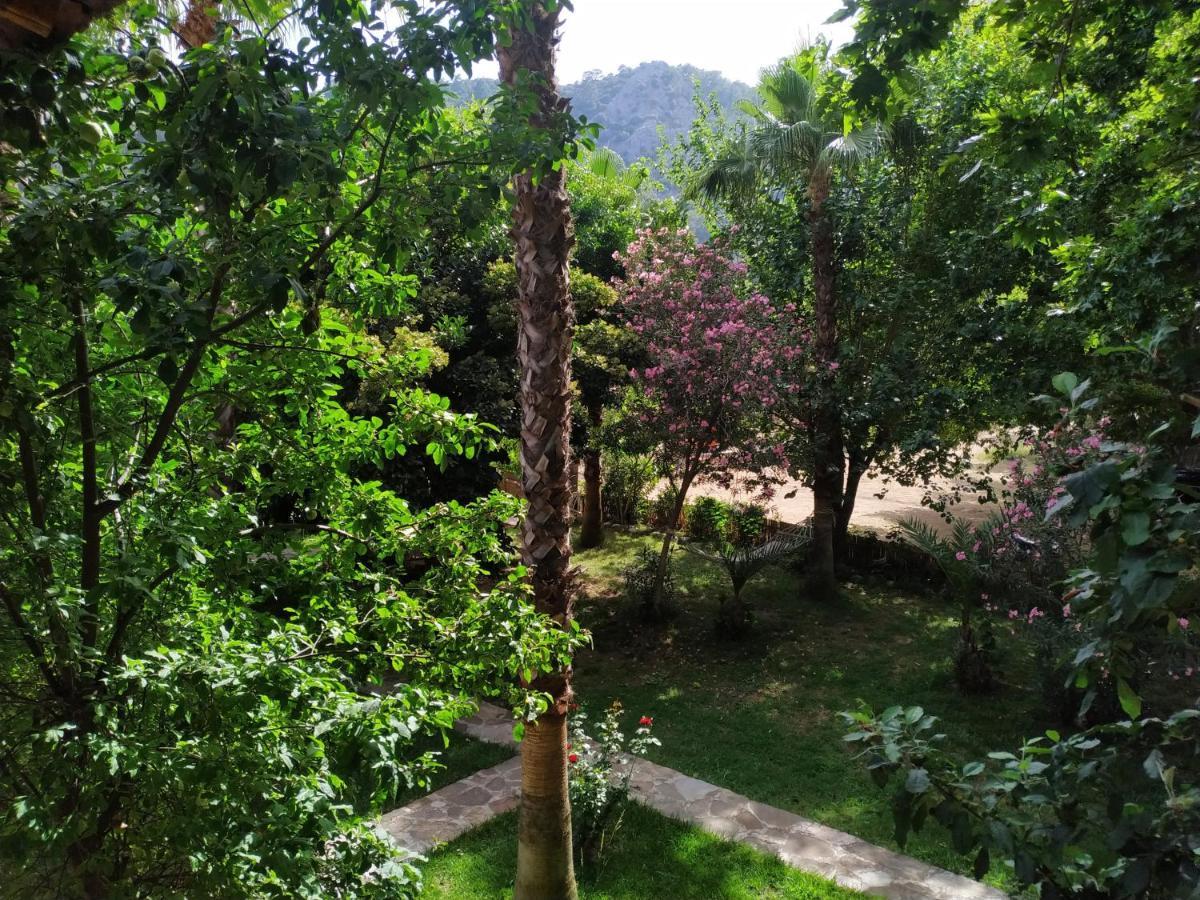 Olympos Yavuz Hotel Чирали Екстер'єр фото